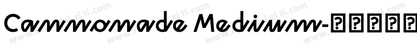 Cannonade Medium字体转换